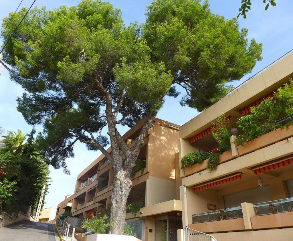 Studio Bandol Centre 2 Etoiles Ideal Emplacement 外观 照片