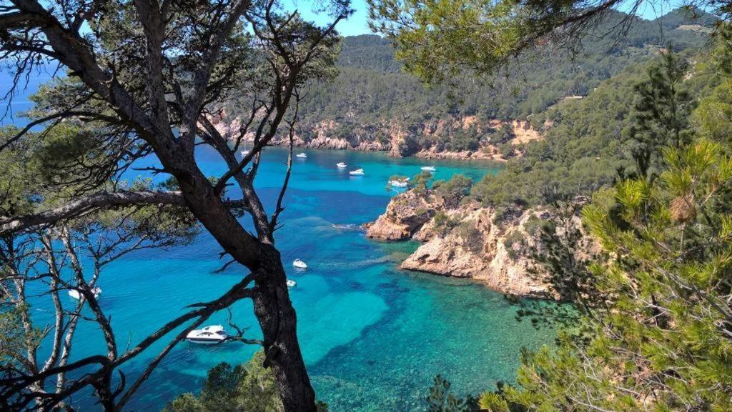 Studio Bandol Centre 2 Etoiles Ideal Emplacement 外观 照片