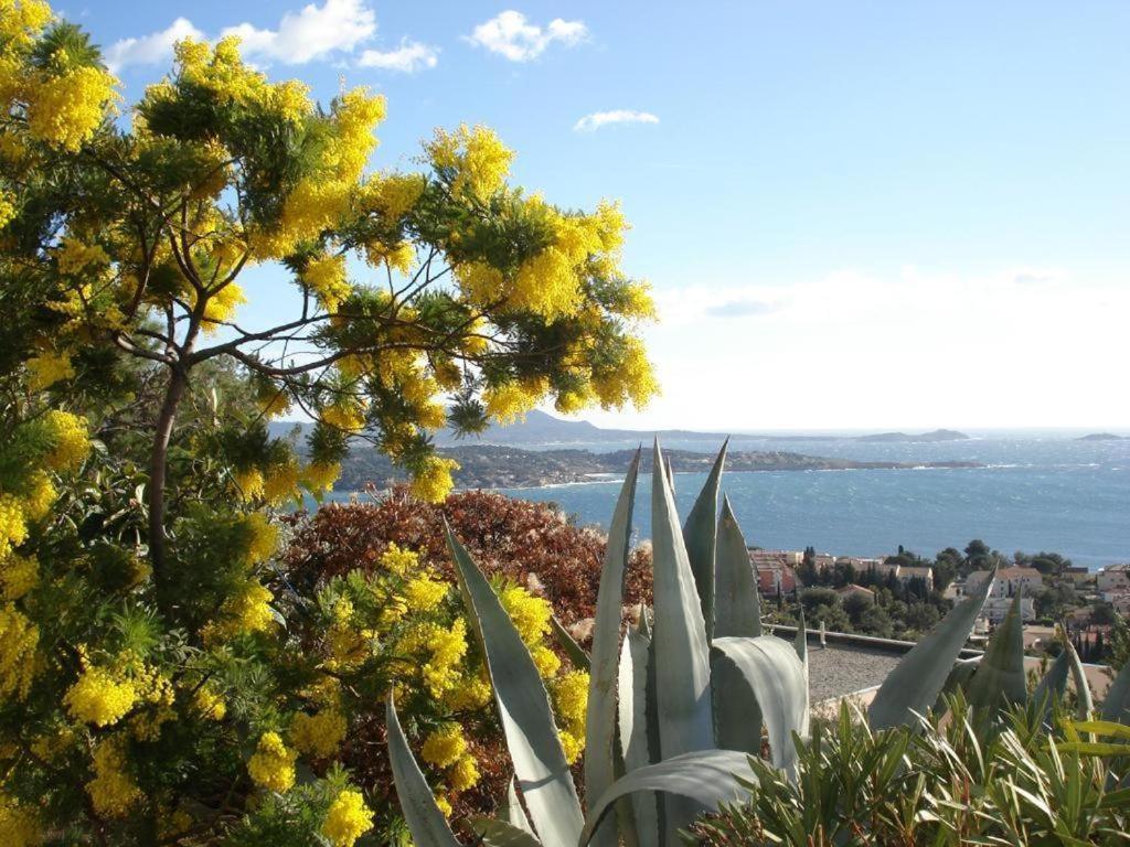 Studio Bandol Centre 2 Etoiles Ideal Emplacement 外观 照片